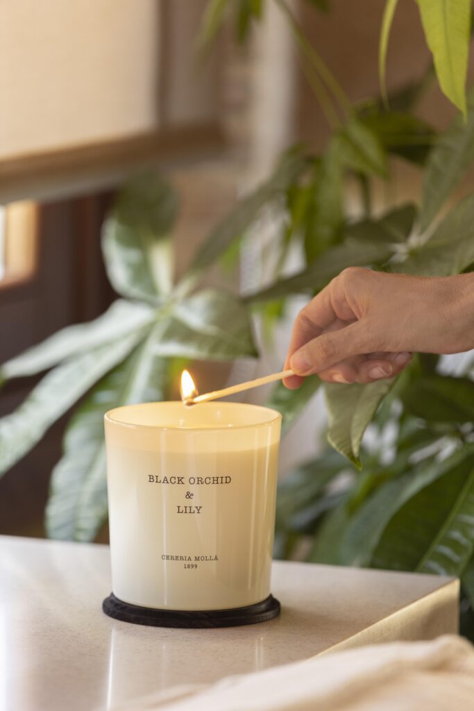 Distribuidores Cerería Mollá en Canarias